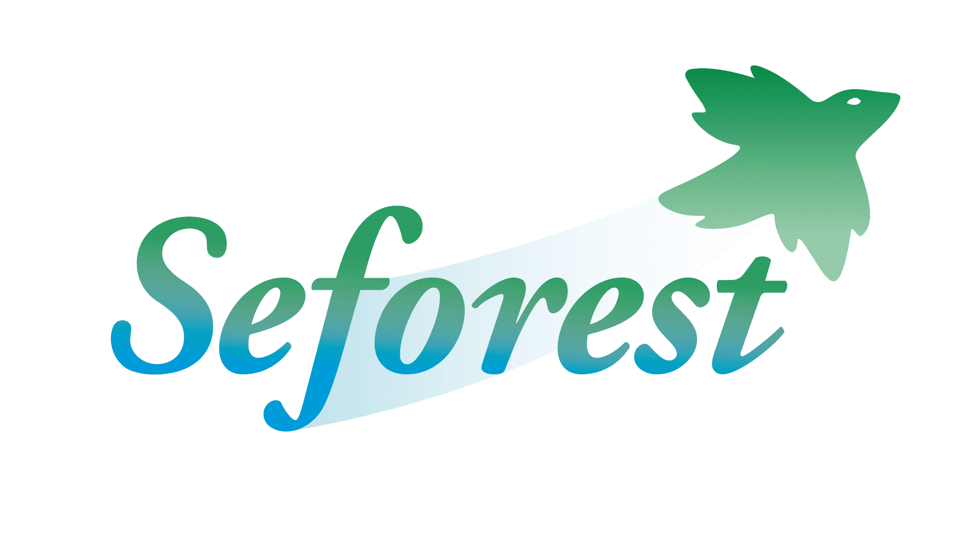 Logo SEFOREST